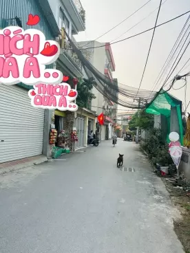VIP nhất Phương Canh- Hàng xóm kdt Foresa-anh-2