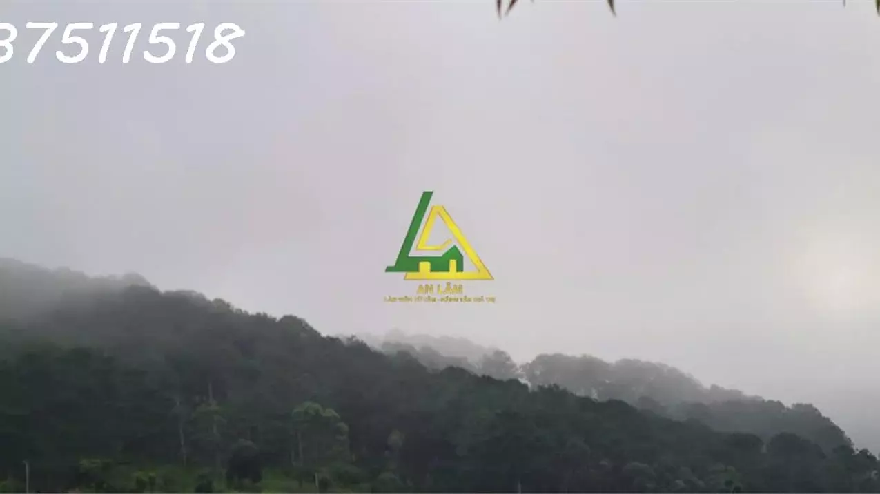 CHO THUÊ ĐẤT TRỐNG LÀM HOME - CAMPING P10 ĐÀ LẠT-anh-4