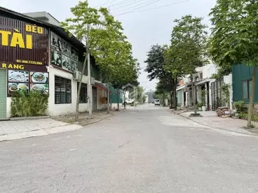 Bán 236m2 đất biệt thự KĐT 31ha Trâu Quỳ, tiềm năng kinh doanh, nối thẳng đường Ngô Xuân Quảng-anh-1