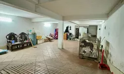 Bán 236m2 đất biệt thự KĐT 31ha Trâu Quỳ, tiềm năng kinh doanh, nối thẳng đường Ngô Xuân Quảng-anh-9