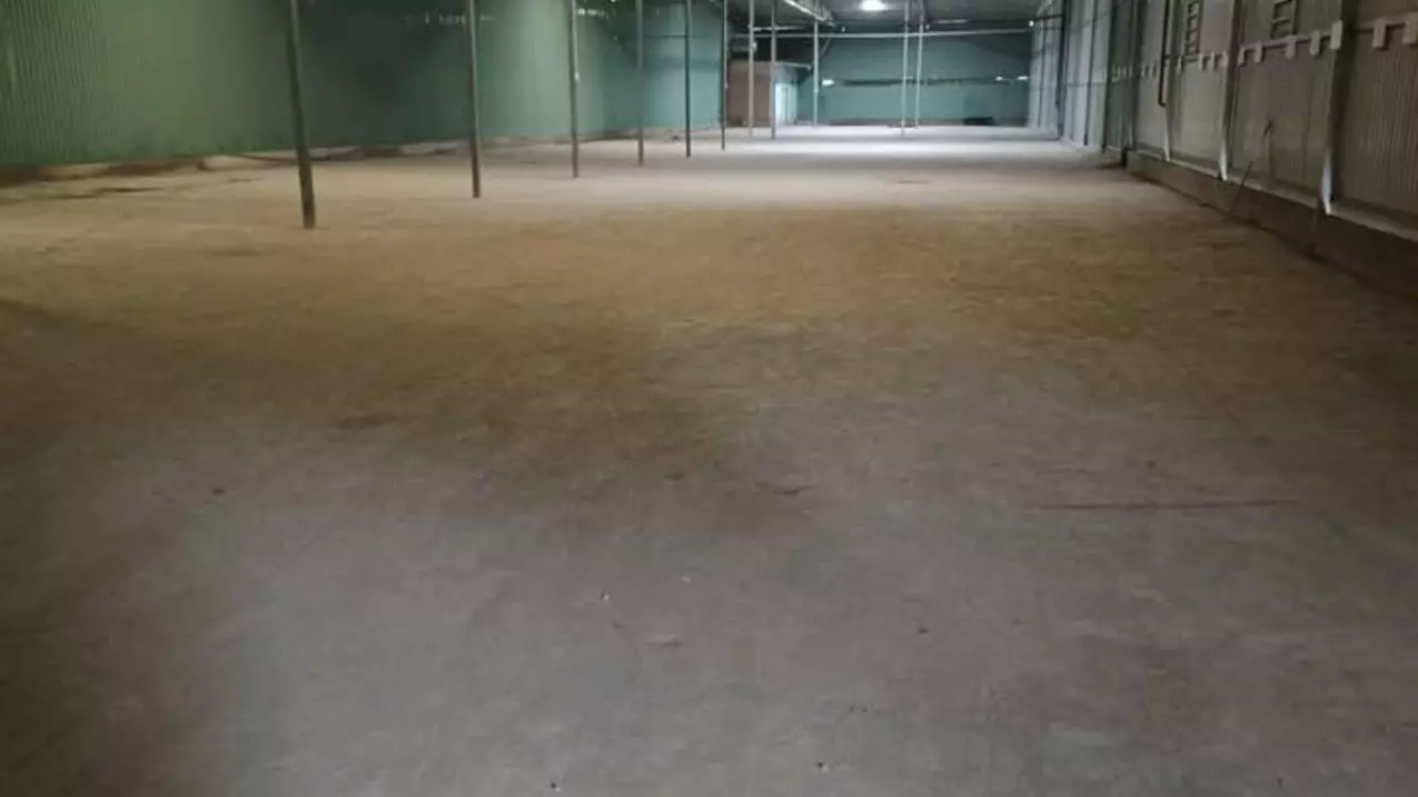 CHO THUÊ KHO XƯỞNG 4000M2 - TÔ KÝ - TÂN CHÁNH HIỆP - Q.12 - GIÁ 300 TRIỆU-anh-3