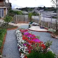 CHO THUÊ KHU HOMESTAY 9 PHÒNG VIEW ĐỒI & NHÀ LỒNG VẠN THÀNH ĐÀ LẠT-anh-10