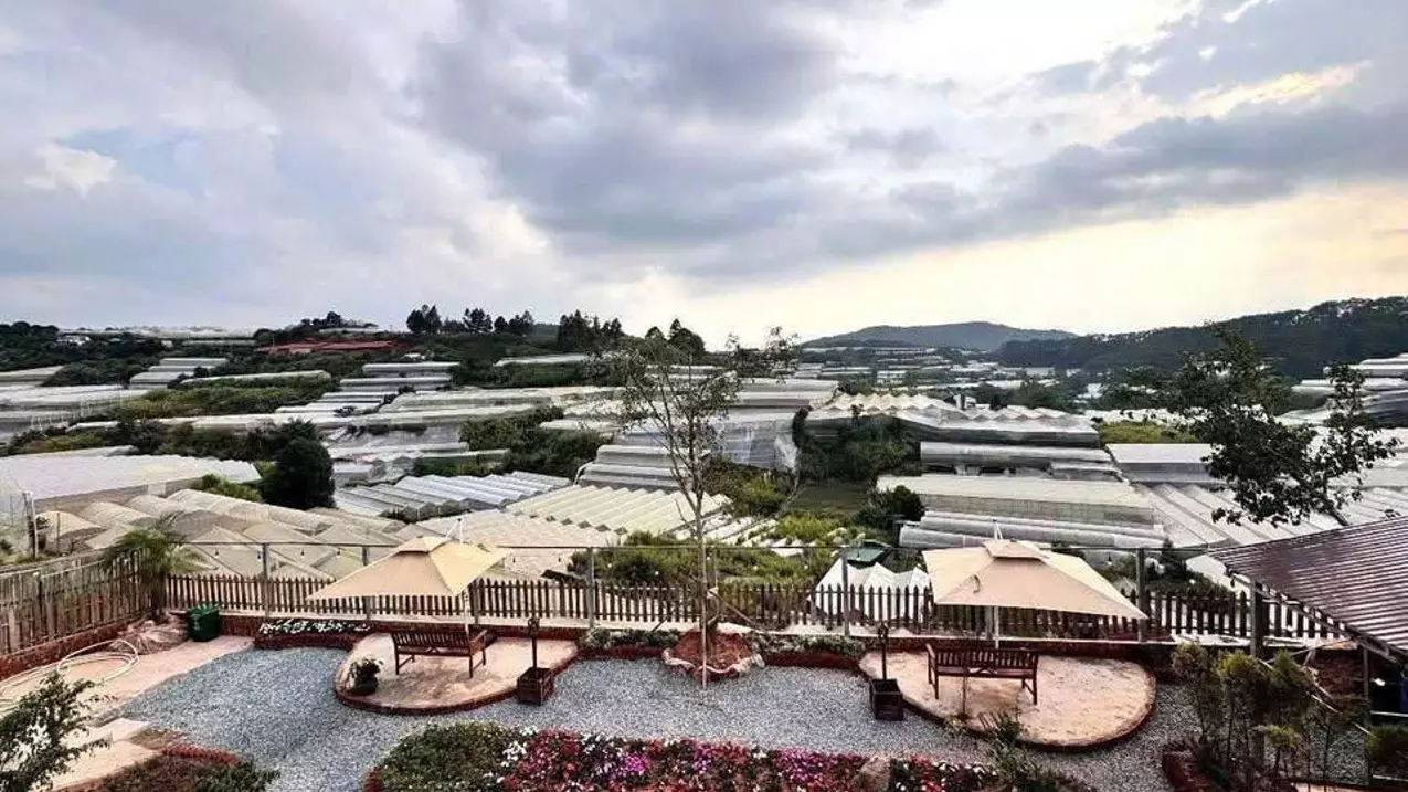 CHO THUÊ KHU HOMESTAY 9 PHÒNG VIEW ĐỒI & NHÀ LỒNG VẠN THÀNH ĐÀ LẠT-anh-2