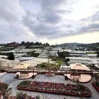 CHO THUÊ KHU HOMESTAY 9 PHÒNG VIEW ĐỒI & NHÀ LỒNG VẠN THÀNH ĐÀ LẠT-anh-7