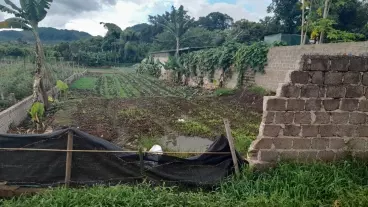 Cần bán gấp mảnh đất có vị trí cực đẹp nằm tại trung tâm Mộc Châu-anh-2