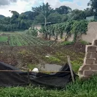 Cần bán gấp mảnh đất có vị trí cực đẹp nằm tại trung tâm Mộc Châu-anh-3