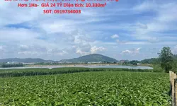 Cho thuê mặt bằng Hồ Xuân Hương đường Bùi Thị Xuân Phường 2 Đà lạt-anh-15