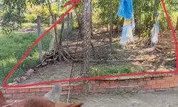 Đất nền cạnh chợ và khu công nghiệp chỉ 500 triệu/nền-anh-15