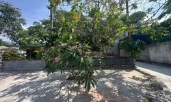Vị trí đầu tư đất biển đáng quan tâm nhất trong thời điểm hiện tại-anh-8