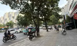 Cho thuê nhà, 111m2- 6T, Hoàng Cầu, La Thành, Đặng Tiến Đông -38 tr-anh-14