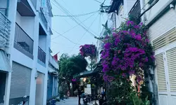 Cho thuê nhà 2 Mặt Tiền Nguyễn Hồng Đào q.Tân Bình 60m², 18 Triệu-anh-10
