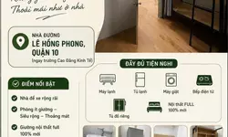 Cho thuê nhà 2 Mặt Tiền Phan Anh Q.Tân Phú 1000m²  - GẦN NGÃ TƯ BỐN XÃ-anh-13