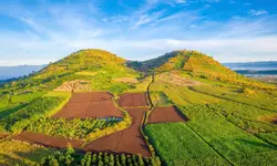 Cho thuê nhà 3 phòng Trần Phú phường 2 Đà Lạt 15 triệu/tháng-anh-12