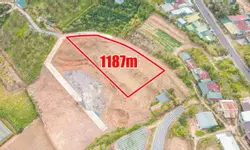 Cho thuê nhà 8 phòng Nguyễn Công Trứ phường 8 Đà Lạt 22 triệu/tháng-anh-19