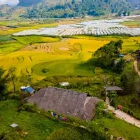 Cần bán mảnh đất rộng 1310m2, thích hợp làm HomeStay tại Sapa-anh-6