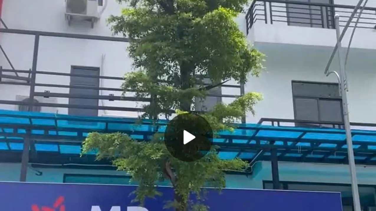 Cho thuê nhà lô góc 3 mặt đường - Xuân Phương (Nam Từ Liêm), Hà Nội, 0979528669-anh-2