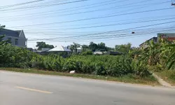 Cho Thuê Nhà Mặt Tiền Ngay Ngã Tư Chợ – Vị Trí Đẹp Tại Hồng Ngự, Đồng Tháp-anh-10