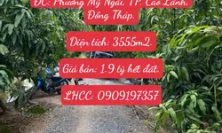 Cho Thuê Nhà Mặt Tiền Ngay Ngã Tư Chợ – Vị Trí Đẹp Tại Hồng Ngự, Đồng Tháp-anh-12