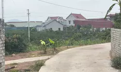 CHO THUÊ NHÀ MỚI XÂY – KHU ĐẤT MỚI ĐỒNG NHỎ, QUANG CHÂU, BẮC GIANG-anh-18