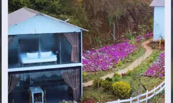 Cho thuê nhà Nguyễn An Ninh phường 6 Đà Lạt 12 triệu/tháng-anh-8