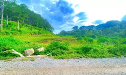Cho thuê nhà Nguyễn An Ninh phường 6 Đà Lạt 12 triệu/tháng-anh-13