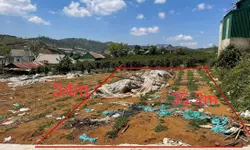 Cho thuê nhà nguyên căn KQH Trần Anh Tông, P.8, Đà Lạt:-anh-14