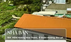 Cho thuê nhà nguyên căn KQH Trần Anh Tông, P.8, Đà Lạt:-anh-17