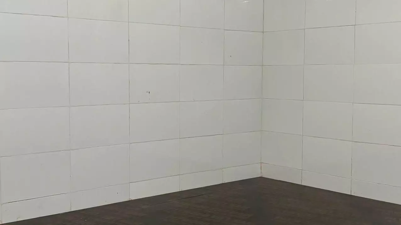 CHO THUÊ NHÀ NGUYÊN CĂN – PHỐ NGUYỄN VĂN CỪ , LONG BIÊN, HÀ NỘI CHỈ 7TR-anh-5