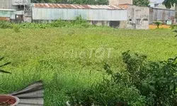 CHO THUÊ PHÒNG CHUNG CƯ MINI – NGUYỄN THỊ ĐỊNH, PHƯỜNG CÁT LÁI, TP. THỦ ĐỨC-anh-21
