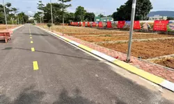 Cần bán gấp căn shophouse Avenue Garden 189m2, đường 17m-anh-9