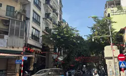 Cần bán gấp căn shophouse Avenue Garden 189m2, đường 17m-anh-6
