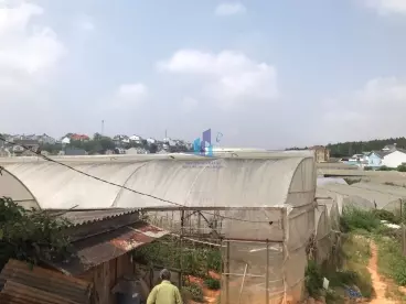 Bán Gấp Lô Đất tại P8 - TP. Đà Lạt-anh-12