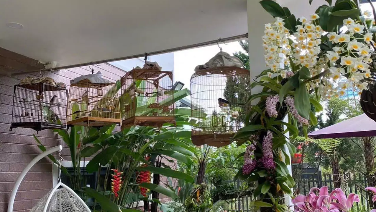 Cho thuê villa sân vườn 12 phòng ngủ gần đèo Pren Đà Lạt 35tr/tháng-anh-4