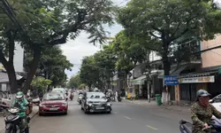 Chọn nhà đẹp đón Tết, 4 tầng đường 5m5 Hải Châu, Đà Nẵng-anh-7