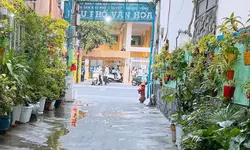 CHỦ GỞI: BÁN NHÀ MỚI Ở NGAY - 123M² Đường NHỰA 8M THÔNG TỨ TUNG 4x30 3TẦNG NỞ HẬU-anh-13