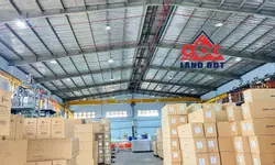 CHỦ NGỘP RÁO RIẾT: BÁN GẤP NHÀ LẦU BỬU LONG!-anh-15