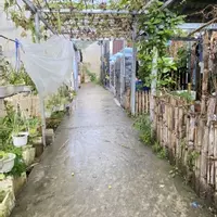 Bán Nhà Tâm Huyết Chính Chủ, 4 Phòng Ngủ, Đường An Tôn, Phường 5-anh-13