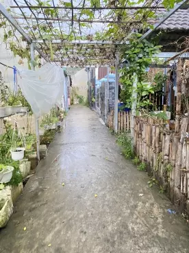 Bán Nhà Tâm Huyết Chính Chủ, 4 Phòng Ngủ, Đường An Tôn, Phường 5-anh-5