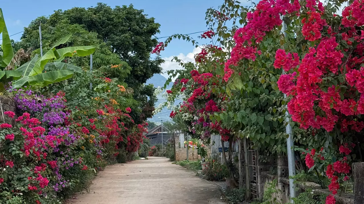 Cơ hội sở hữu nhà mái thái tại Mộc Châu giá rẻ, nhà mới xây, Gần trung tâm du lịch Mộc Châu.-anh-2