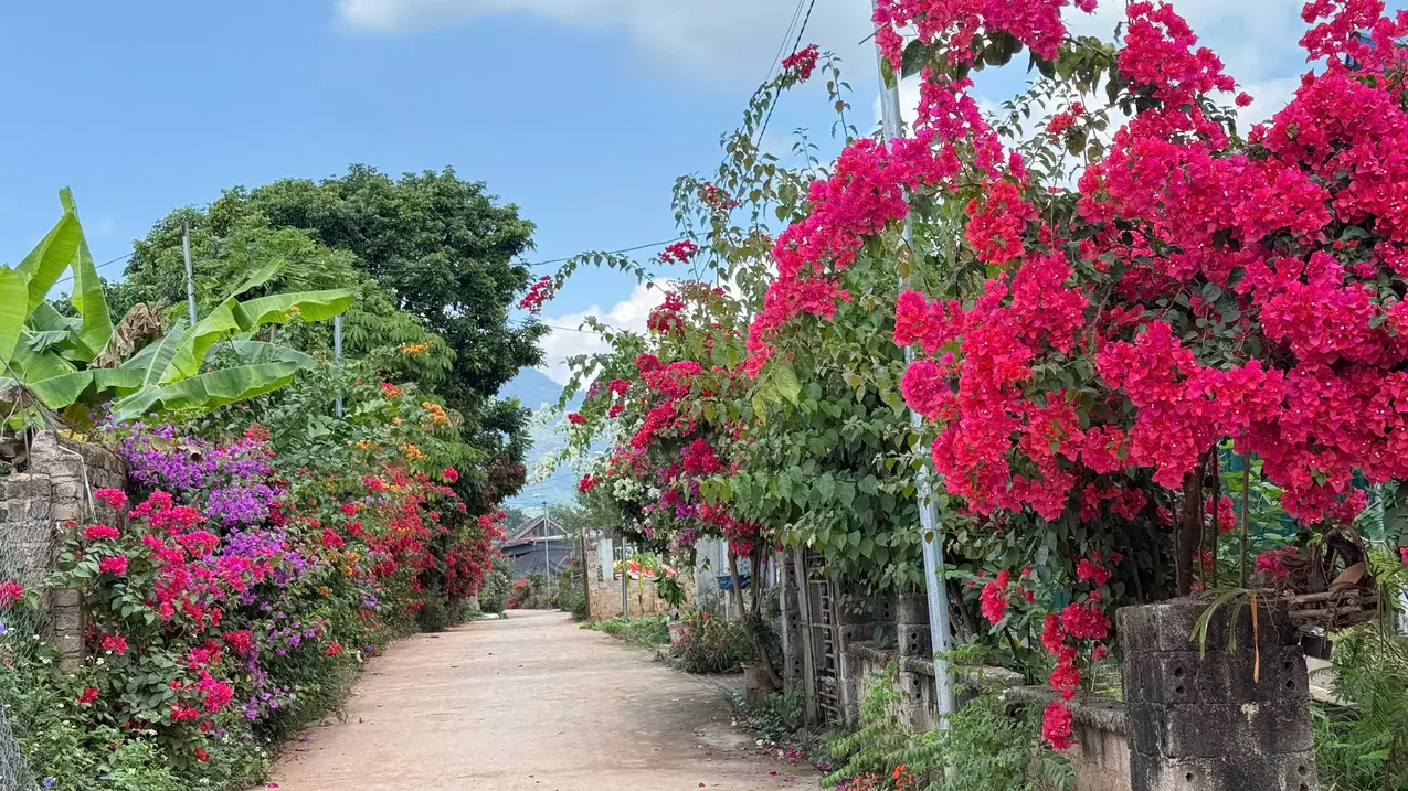 Cơ hội sở hữu nhà mái thái tại Mộc Châu giá rẻ, nhà mới xây, Gần trung tâm du lịch Mộc Châu.-anh-3