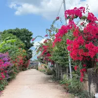 Cơ hội sở hữu nhà mái thái tại Mộc Châu giá rẻ, nhà mới xây, Gần trung tâm du lịch Mộc Châu.-anh-6