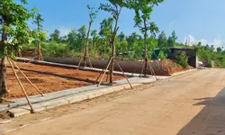CỰC HOT! ĐẤT VÀNG TP ĐÔNG TRIỀU - NHẬN NGAY ƯU ĐÃI, GIÁ CHỈ TỪ 340 TRIỆU !!!-anh-4