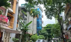 ĐẲNG CẤP HOÀNG CẦU - PHÂN LÔ - Ô TÔ-anh-15