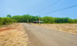Cát Tường ParkHouse - Khu dân cư chuẩn Nhật-anh-2