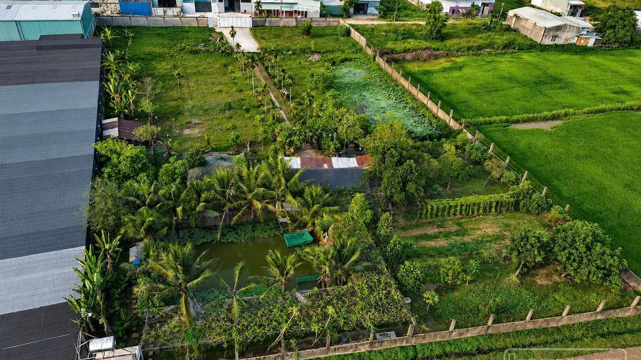 ĐẤT LỚN MẶT TIỀN XUÂN THỚI SƠN – GẦN 6400M² – NGANG 65M CÓ THỔ CƯ-anh-1