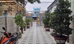 Chủ kẹt tiền cần bán gấp lô đất ngay Trung tâm Đại Minh - Giá chỉ 380 triệu-anh-8