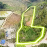 Chính chủ cần bán gấp mảnh đất có view ruộng bậc thang cực đẹp-anh-7