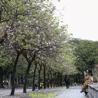 ĐẤT NỀN DỰ ÁN SIÊU HOT TẠI THÀNH PHỐ YÊN BÁI. TIỀM NĂNG SINH LỜI CAO: ĐT 0326578338-anh-2