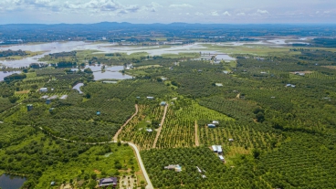 Đất vườn nghỉ dưỡng hồ Trị An Định Quán Đồng Nai-anh-3