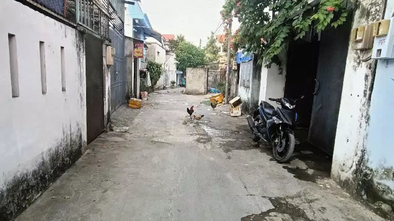 Dãy trọ Lê Văn Việt, TNPB, 96m2, hẻm xe hơi, nhỉnh 3.5 tỷ-anh-2